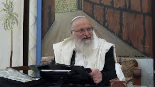 להלחם או לסמוך על הנס? | הרב שמואל אליהו | הלכה יומית | כ"ב אייר תשפ"ד (הרב שמואל אליהו) - התמונה מוצגת ישירות מתוך אתר האינטרנט יוטיוב. זכויות היוצרים בתמונה שייכות ליוצרה. קישור קרדיט למקור התוכן נמצא בתוך דף הסרטון