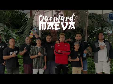 FAYA VIBES x SYSY x AKON - GIRLS LIKE U { HORNETS REMIX 2023 } °