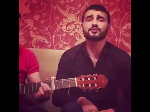 Seymur memedov kora kozlar