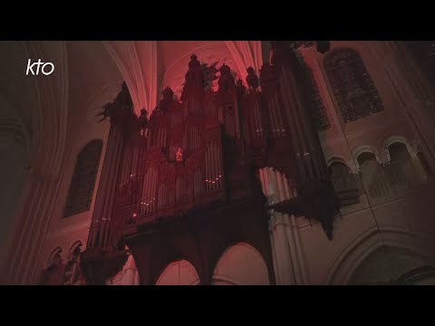 Chartres : L’orgue de la cathédrale bientôt reconstruit