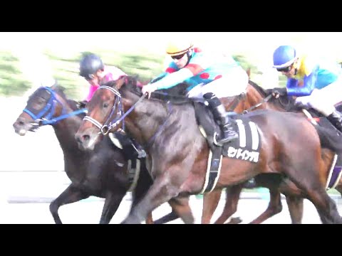 【4K】🐎札幌日経オープン SAPPORO NIKKEI OPEN Part2 2016/08/06 札幌競馬場　Panasonicデジタル4KビデオカメラWXF990M撮影映像