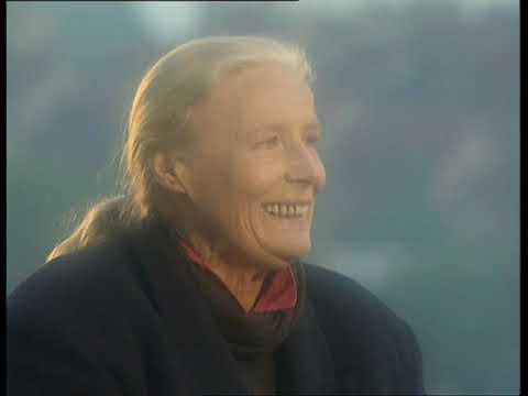 Rozmowy o Zmierzchu i Świcie. 1.