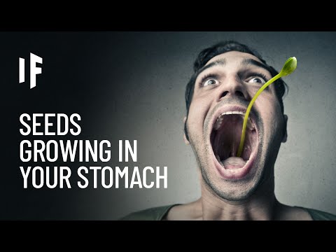 What If Seeds Could Grow in Your Stomach?