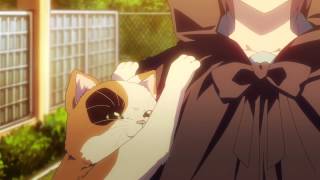 Download lagu Suzumiya Haruhi no Yuuutsu: Kyon and Shamisen the Cat mp3 Download lagu Suzumiya Haruhi no Yuuutsu: Kyon and Shamisen the Cat mp3