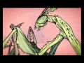 Animation - Army Ants by Tom Waits