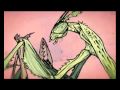 Animation - Army Ants by Tom Waits 
