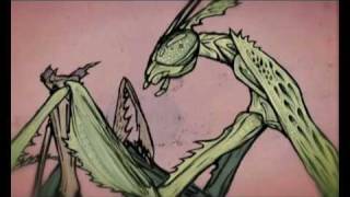 Animation - Army Ants by Tom Waits