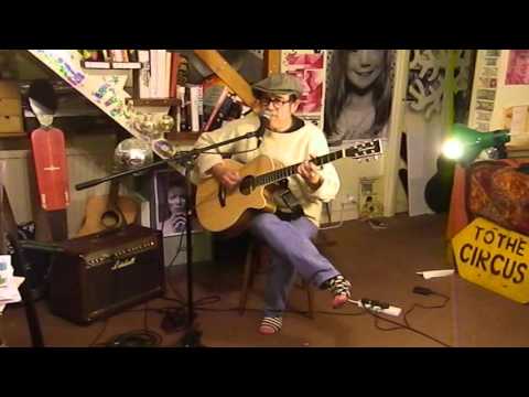 The Velvet Underground - Venus in Furs - Acoustic Cover - Danny McEvoy