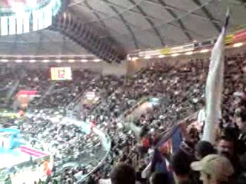 dalmatinac sam - dvorana kresimir ćosić - tornado zadar - navijanje