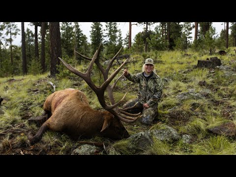 2021 Gracie’s Arizona Elk Hunt