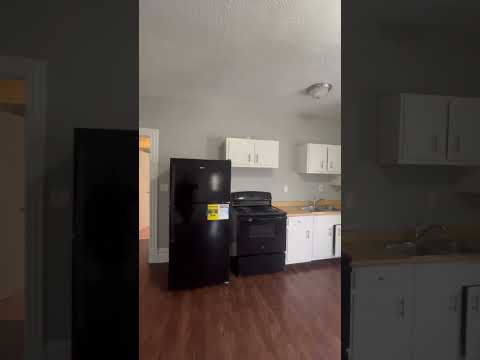 shad3162-3164 - Video 2 of 2