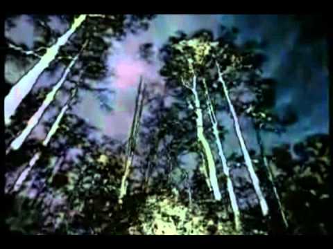 CALISTA DIVINE - STATIC MOTION (POST ROCK)