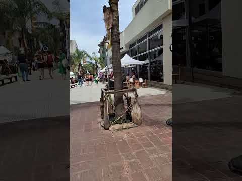 #montevideo #ciudadvieja #uruguay