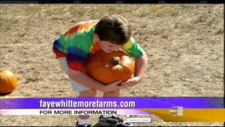 Talk of Alabama - Pumpkin Patch