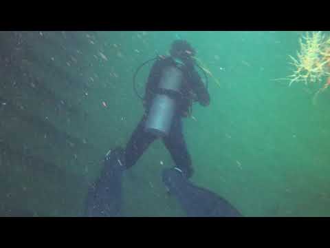 11-26-19 - Secret Wreck 4