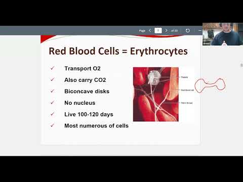Trooper Massage Picture Circulatory System