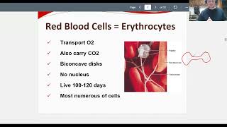 A&P for Massage Therapists:  Cardiovascular System part 1 of 2 2022