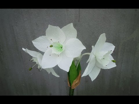 How To Make Amazon Lily Paper Flower From Crepe Paper - Craft Tutorial