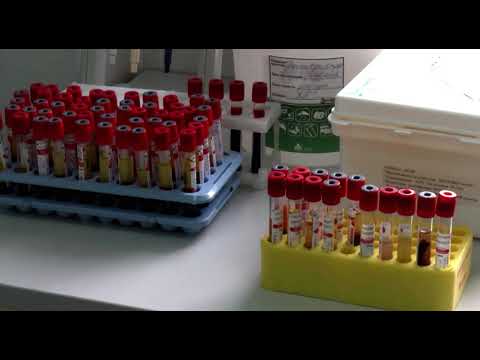 В Курской области готовятся к созданию централизованной клинико-диагностической лаборатории