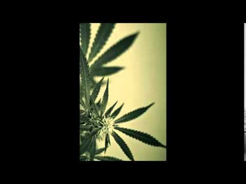 Lansiranje frula ...