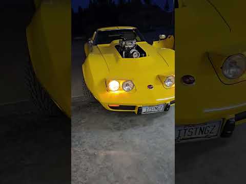 1976 Chevrolet Corvette Stingray (CC-2100703) for sale in Billings, Montana