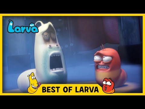 LARVA | BEST OF LARVA | Cartoons | Comics | LARVA 2017 WEEK 28