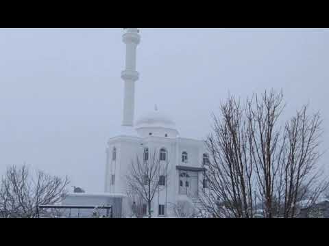 Një recitim i mahnitshëm prej sures El-Hashr. Ajetet 21-24