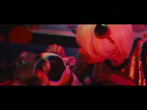 עידו בי וצוקי - טופ דוג / Ido B  Zooki - Top Dawg