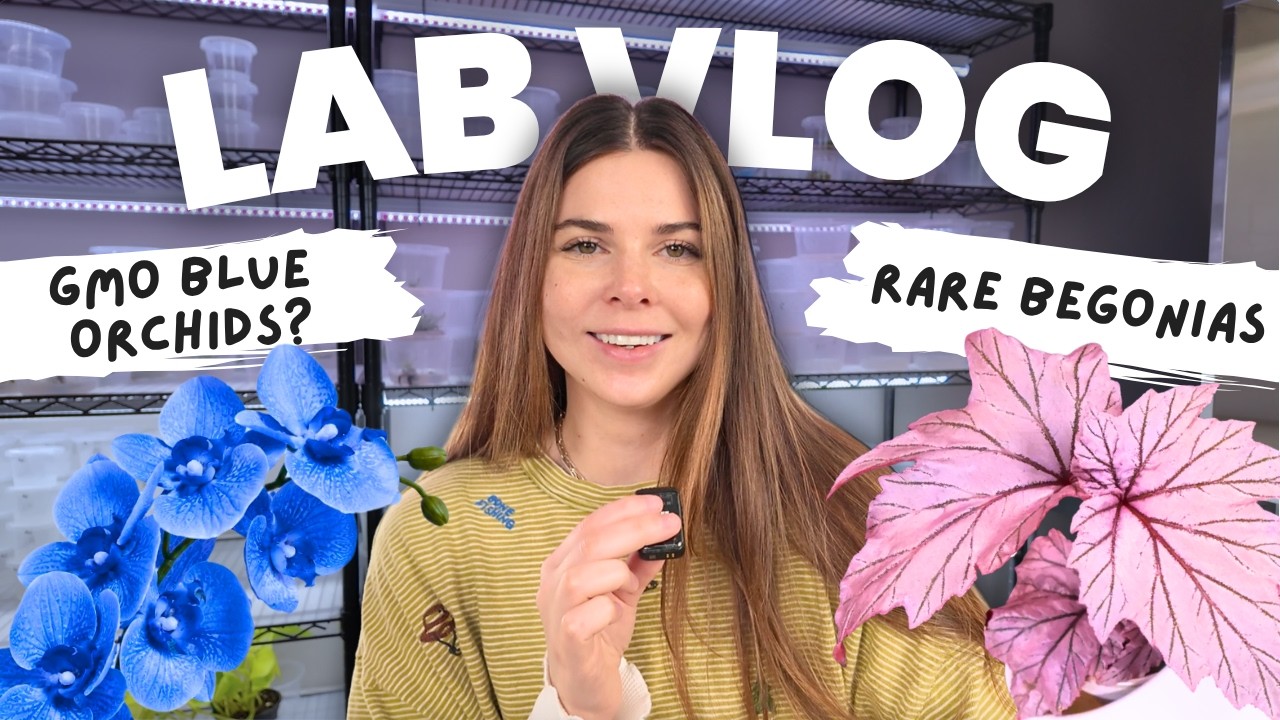 A Day in My Plant Cloning Lab (rare plants & new experiments)