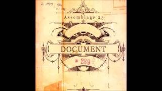 Assemblage 23 - Document (Das Ich remix)