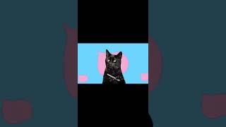 初めての猫ミーム #猫ミーム #猫マニ #capsule