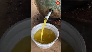 Traditional PEANUT OIL MAKING Process | HOW Groundnut OIL is made? Wood Pressed Oil  Indian Food