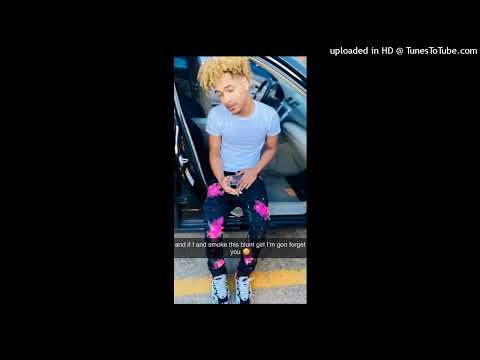 John’eko Cycloid - ÐëațħŁøĶ