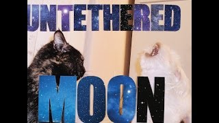 Built to Spill - Some Other Song