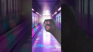 猫ダンス？ฅ( ˙꒳​˙ ฅ)#ゼベット#猫ダンス