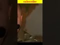 Taqdeerwala Hindi Movie Comedy Anupam Kher Shorts