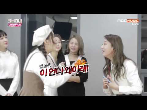 160323 Show Champion Beagle Beagle CLC cut 1080P