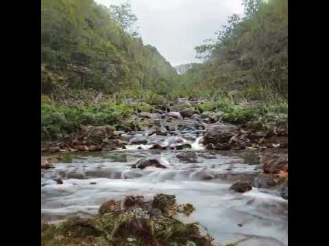 Amazing Morphing Landscape Animation From Genekogan