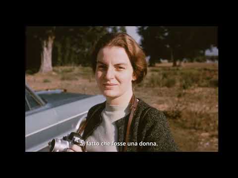 Stardust, Robert Venturi e Denise Scott Brown: una storia d’amore e architettura