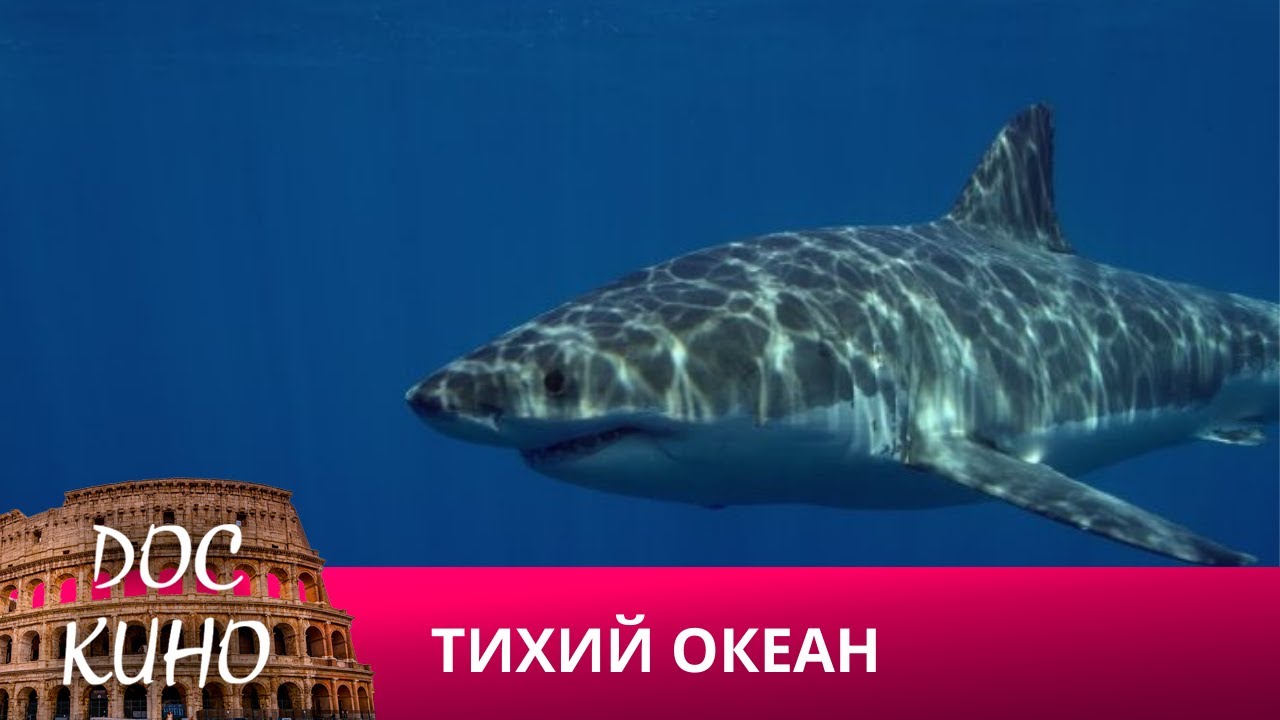 🎭ТИХИЙ ОКЕАН🌎 ДОКУМЕНТАЛЬНЫЙ ФИЛЬМ 🎆 2024