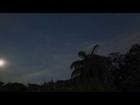 Spyro Gyra (feat. Dave Samuels), San Carlos (1984)