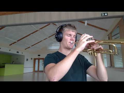 Clifford Brown - Sandu (Transcription)