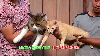 Download lagu [FULL] RAMBUT INDAH SOBAT OTAN | SI OTAN (08/02/18) mp3