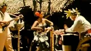 Tigercats - Easter Island