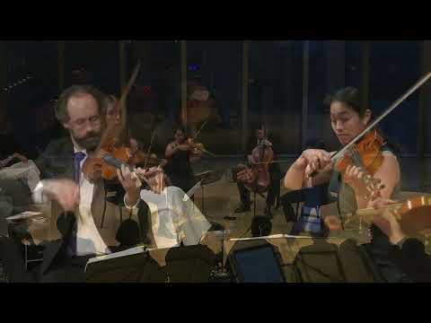 Telegraph Quartet: Haydn - String Quartet in F Major, "Dream," I. Allegro moderato