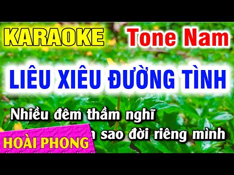 Karaoke Liêu Xiêu Đường Tình Tone Nam Nhạc Sống Dể Hát | Hoài Phong Organ