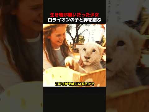生き物が嫌いだった少女、白ライオンの子と絆を結ぶ！