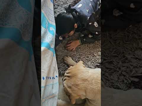 Bed ke niche kuch to hai😂