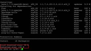 How to solve bash jar command not found problem and extract dot WAR file in Linux
