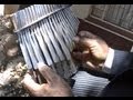 Mbira Music and Stories by Ephat Mujuru  -  Zimbabwe, Africa